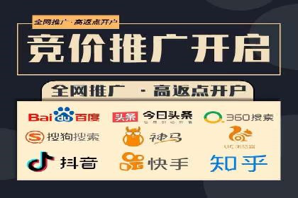 百度SEO推广案例：实战解析与效果展示